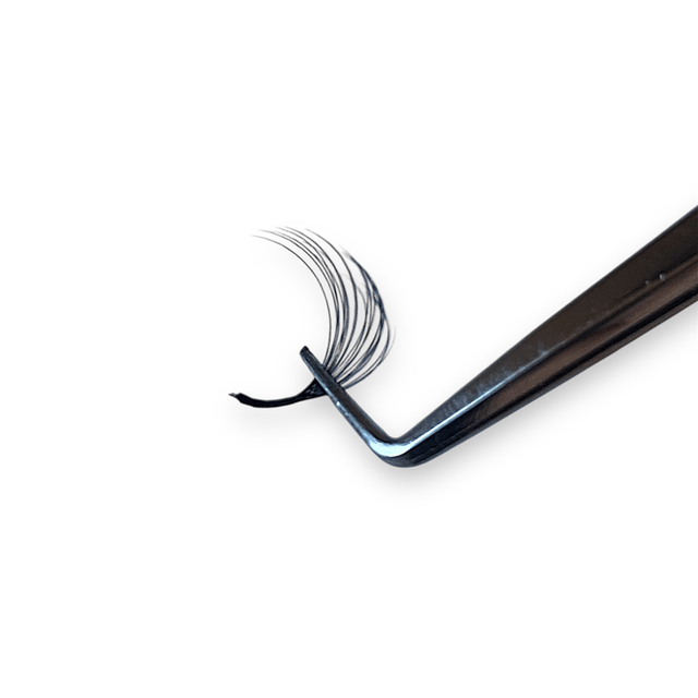 Russian Lashes 